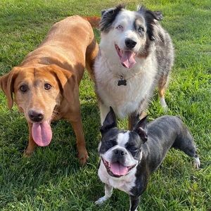 Meet your Posher, Amy